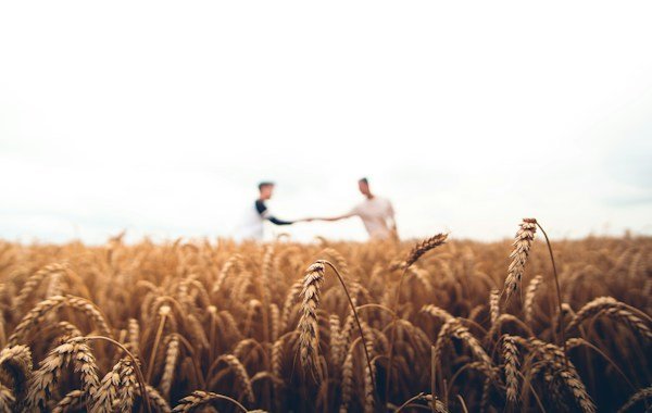 Agroindustria